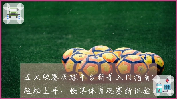 五大联赛买球平台新手入门指南：轻松上手，畅享体育观赛新体验